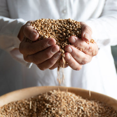 Heritage Flours for Sustainable Kitchens