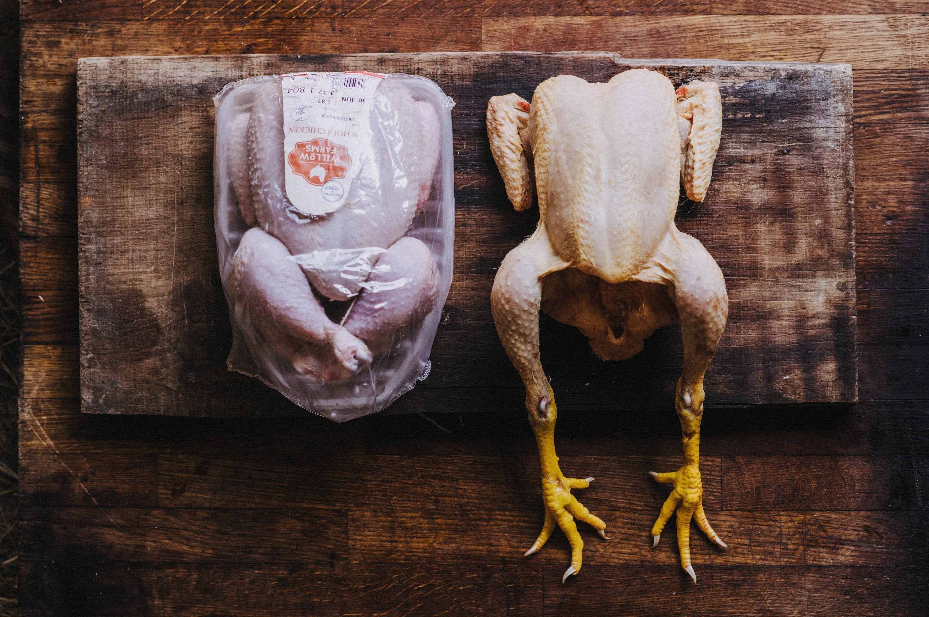 A Question of Chicken - What does 'Free Range' Really Mean | Edenmoor ...