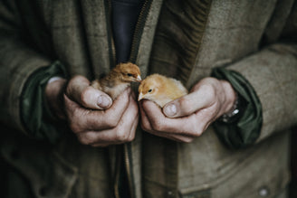The Extinction of Food Sovereignty