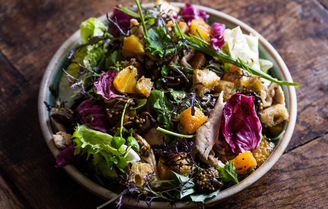 Chicken, Blood Orange, Pickled Chestnut Mushroom & Bread Salad