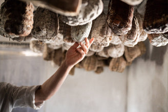 Meet the Producer: Paul Burton