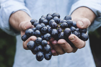 What is Biodynamic, Organic & Regenerative Wine?