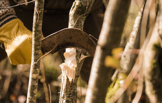 Why is Hedge Laying Important?