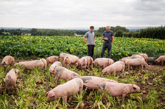 A Day on the Farm with Julius Roberts