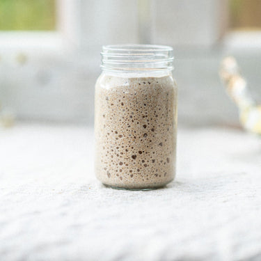 Sourdough Starter