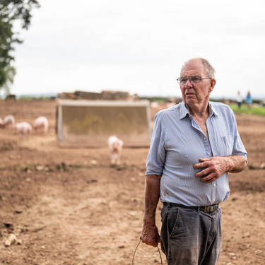 British Pig Farmers Facing 'Worst Crisis in Decades'