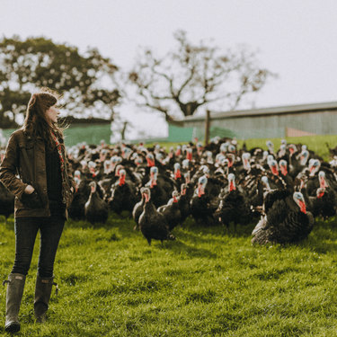 Turkey for Six? Some Grounded Advice from the Farm