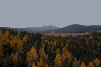 Rest & Relaxation at Glen Dye Holiday Cottages