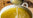 Gravies, Stocks and Broths