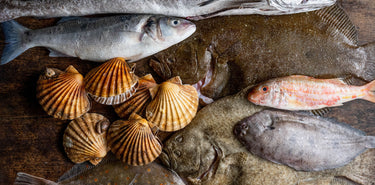 Sustainably Caught Fresh Fish & Shellfish Buy Online & Delivered To Your Door. The Best Fish Box Delivered to Your Door. 100% Recyclable Packaging. 