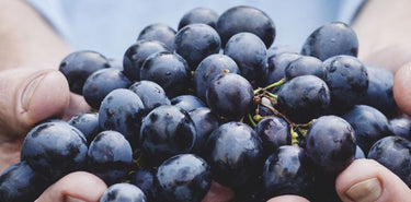 All Wine