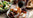 Gravy, Sauces & Stock