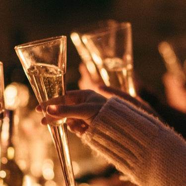 A group of friends raising a toast with their wine glasses.