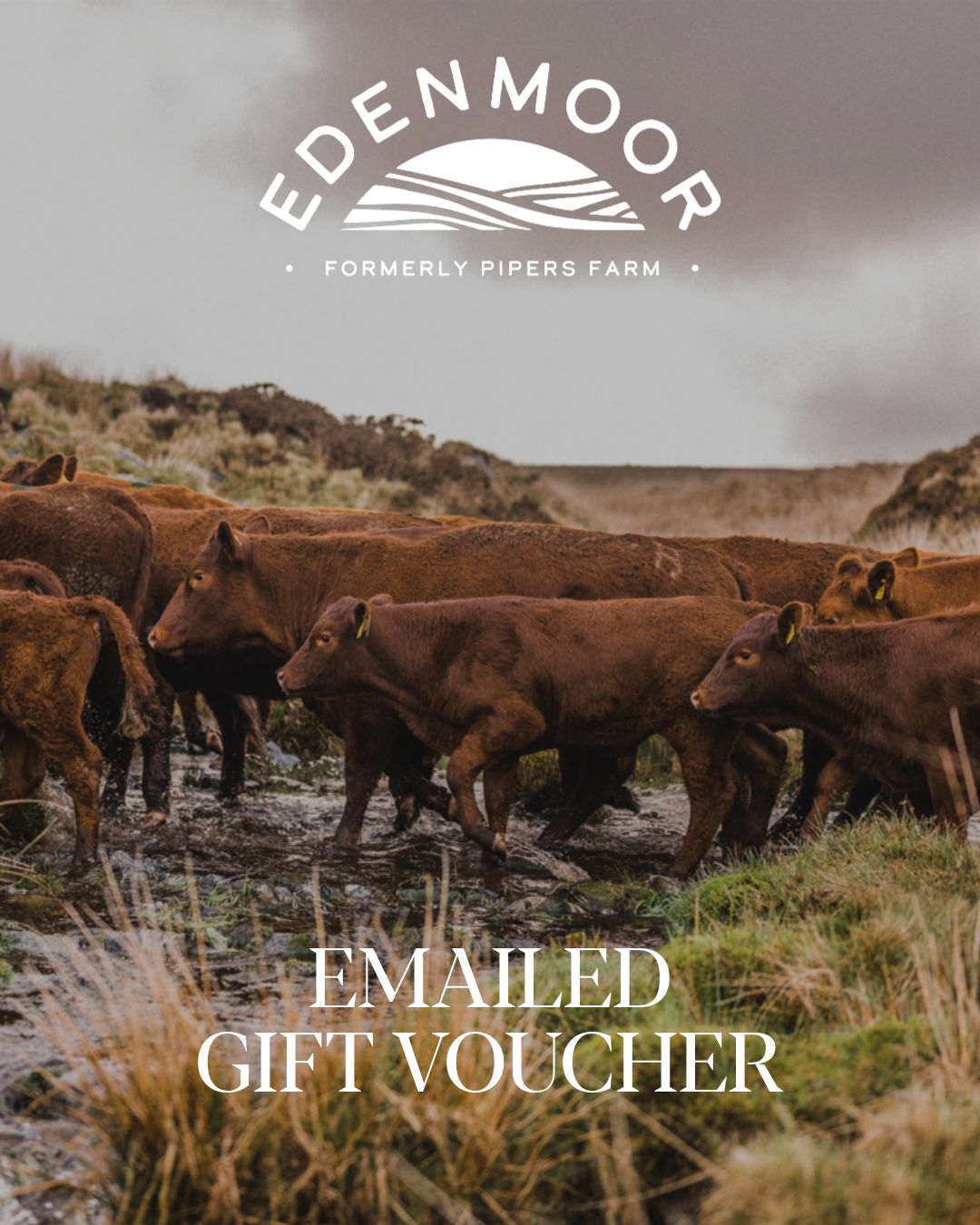 Gift Voucher