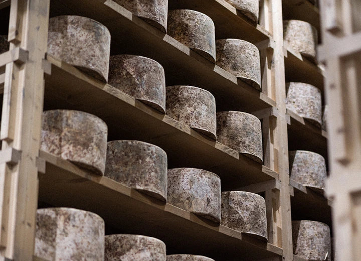 White Lake, Fetish 'Feta-style' Cheese - Supporting British Cheesemakers