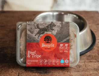 Benyfit Beef & Tripe Raw Dog Food, Made With Beef And Tripe