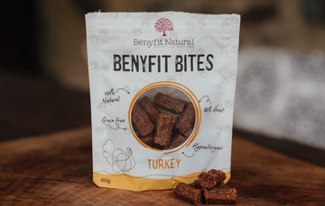 All Natural Turkey Bites By Benyfit Are A Wonderful Dog Treat Option, Free From Grains and Fillers.