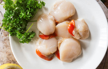 Disco Scallops
