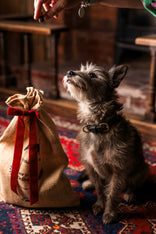 The Good Dog Christmas Stocking