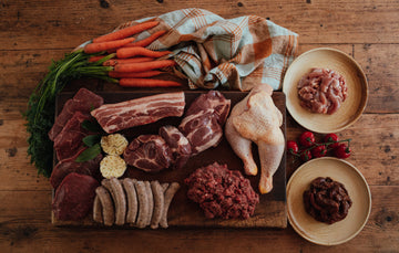 Fill The Freezer Box