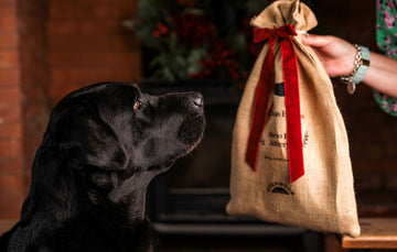 The Good Dog Christmas Stocking