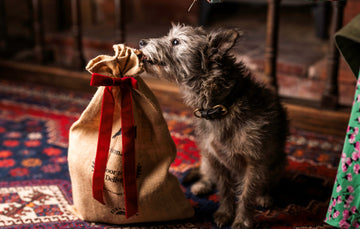 The Good Dog Christmas Stocking