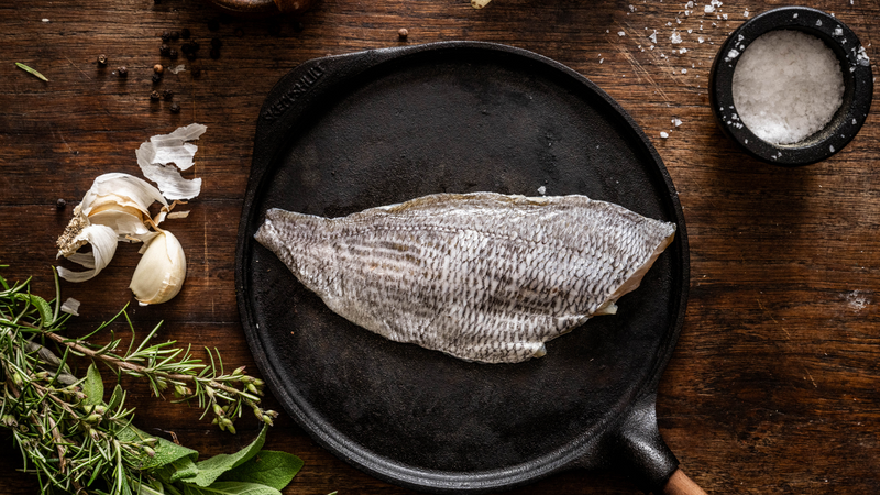Rockfish sustainably caught black bream fillets