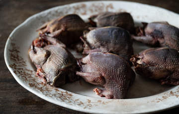 Wild Wood Pigeon Breasts