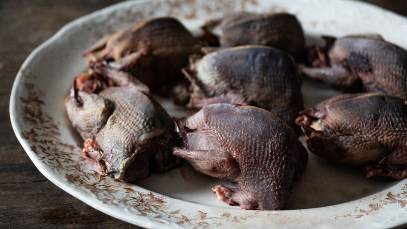 Wild Wood Pigeon Breasts