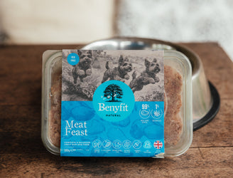 Benyfit, Turkey Meat Feast Raw Dog Food