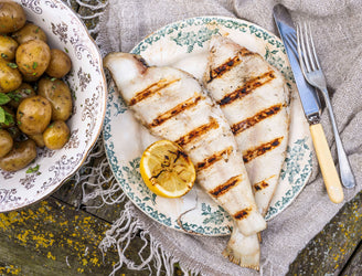 British Megrim Sole