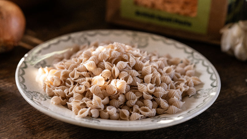 Northern Pasta Co Conchigliette Pasta Made From British spelt 