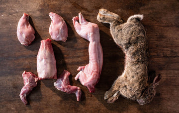 Whole Wild Rabbit