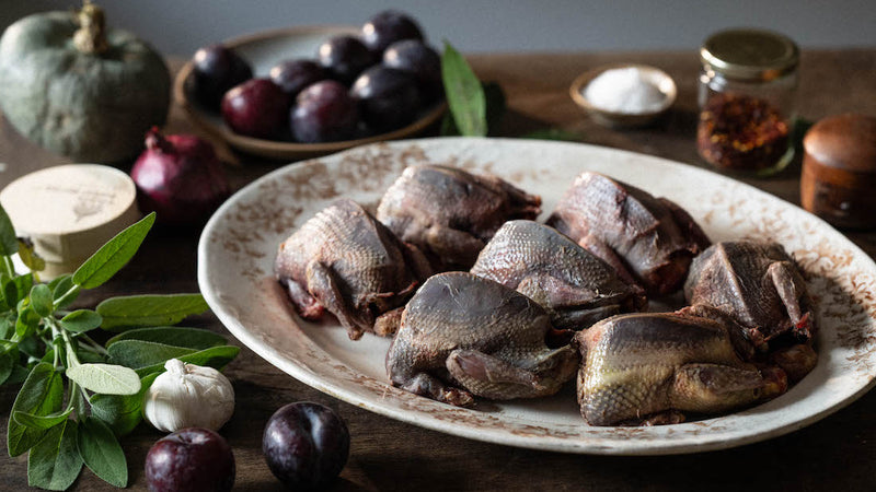 Whole Wild Wood Pigeon