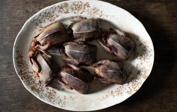 Whole Wild Wood Pigeon