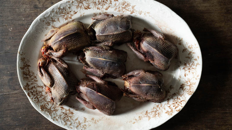 Whole Wild Wood Pigeon