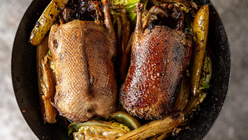 Whole wild mallard duck