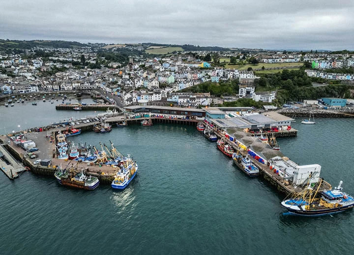 Sustainable Seafood Box - Rockfish: Sustainable Seafood