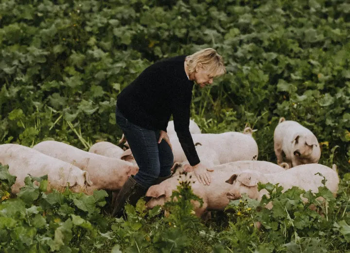 Native Breed Pork Belly - Exceptional Quality