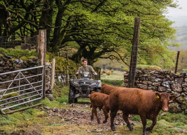 Beef Frankfurter - Short Supply Chains