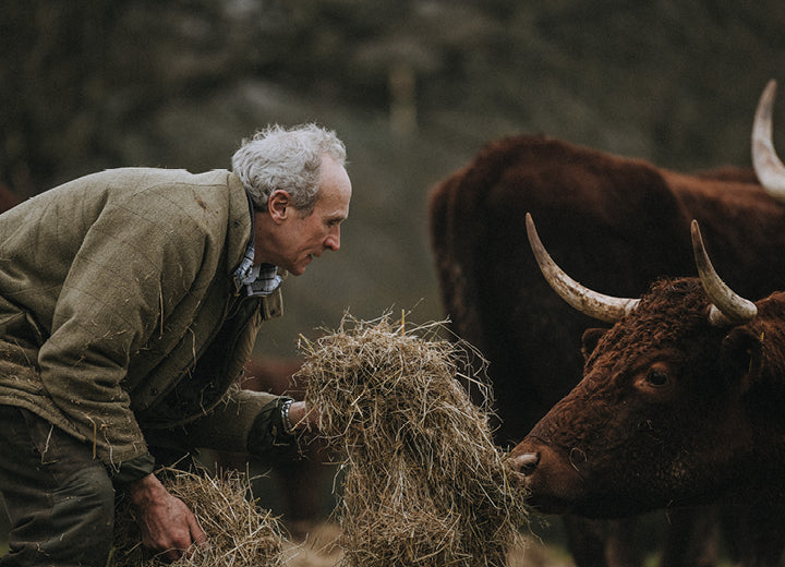 Grass Fed Beef T-Bone Steak - How we rear our Grass Fed Beef
