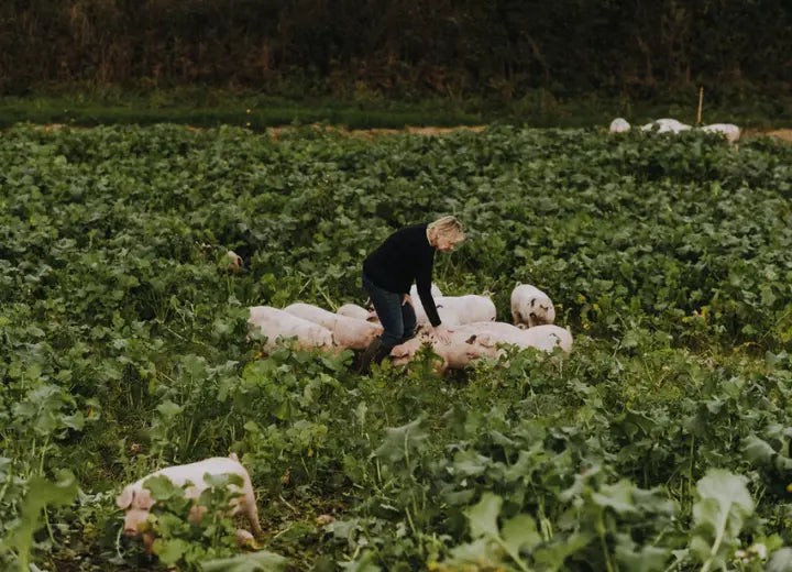 Traditionally Cured Unsmoked Bacon Lardons - Native Breed Pork