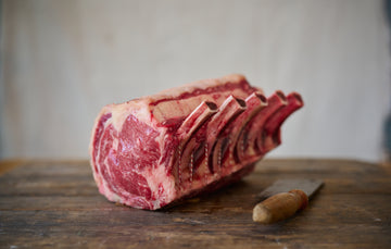 The Simpsons 5-Bone Rib of Beef