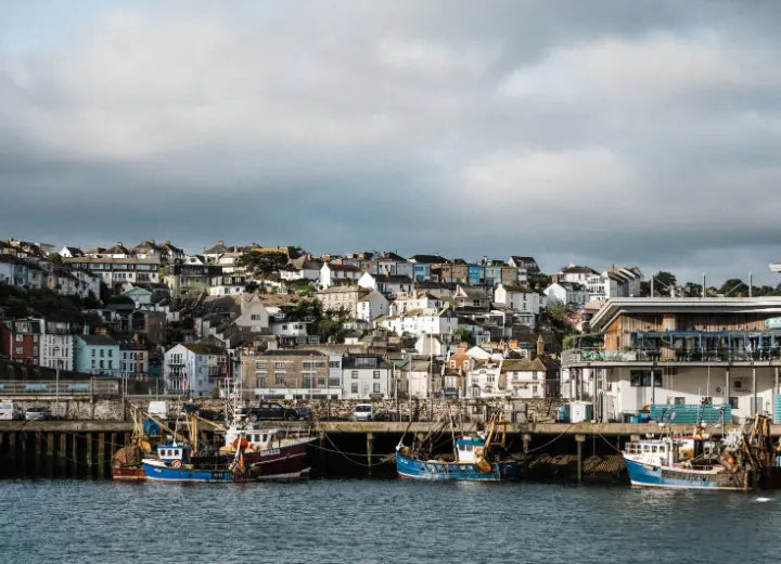 Chalk Stream, Trout Fillet - Sustainable Seafood
