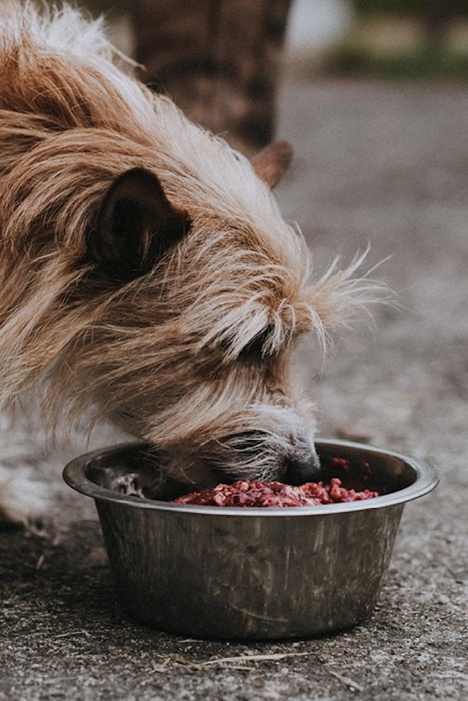 Farmers Raw Beef Food