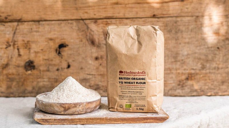 Hodmedod's British organic YQ wheat flour