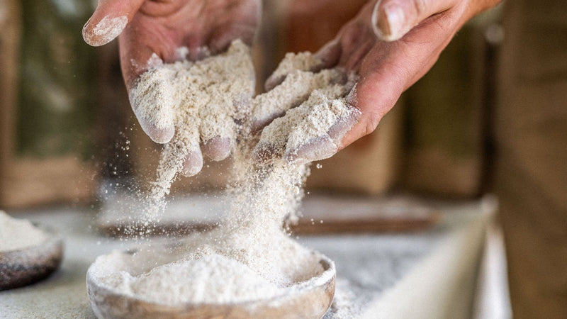Hodmedod's British organic YQ wheat flour