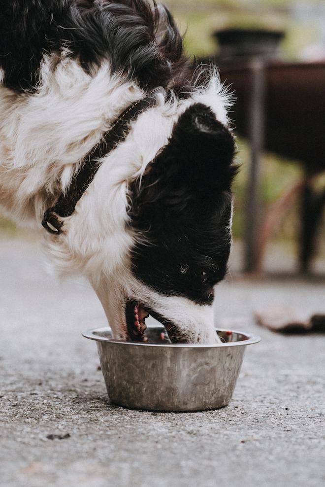 Farmers Raw Lamb Food