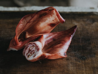 Native Breed Pig's Ear