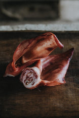 Native Breed Pig's Ear